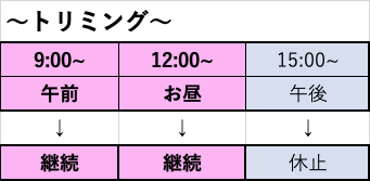 9月1日よりトリミングの予約枠の時間が変更